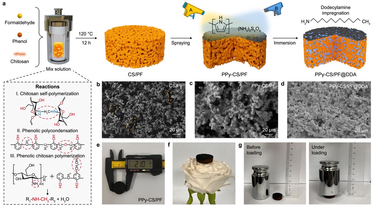Environmental Science and Ecotechnology tweet media