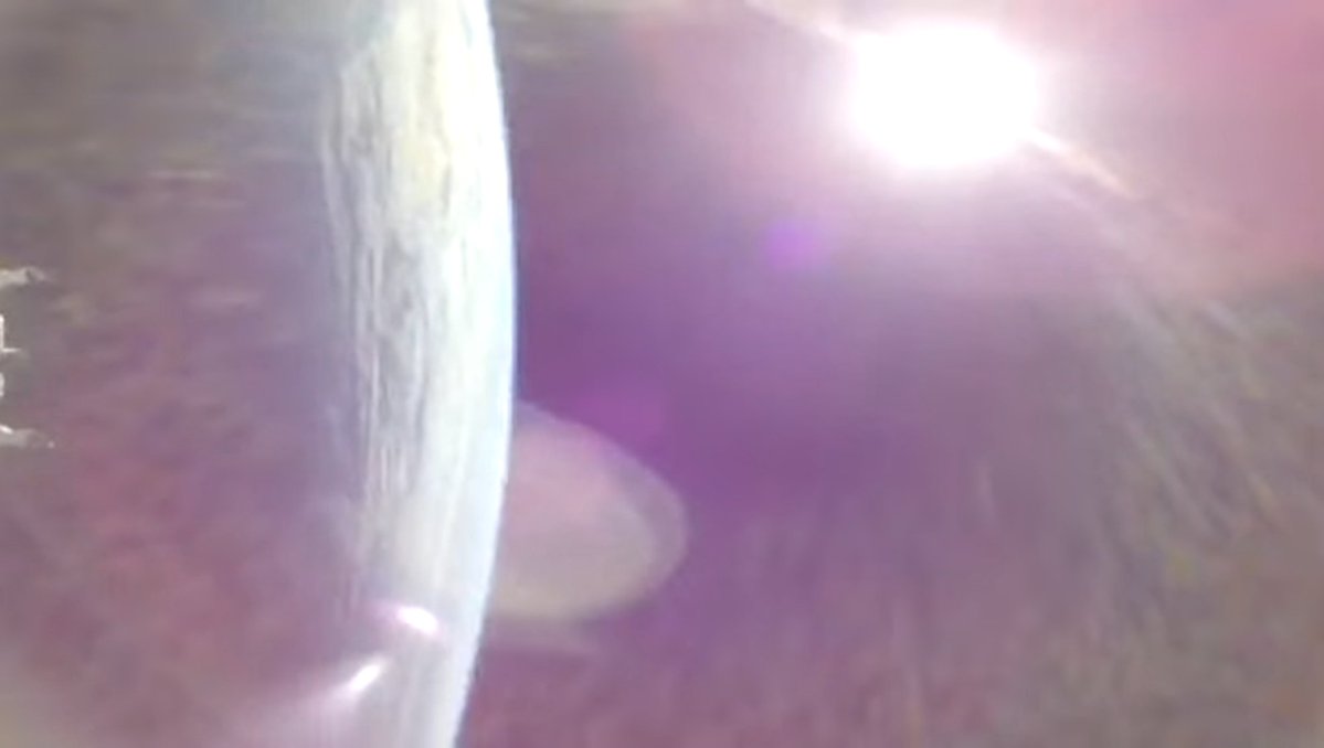 Arypie 🐄💫 | Extraterrestrial in human form!🛸 tweet media