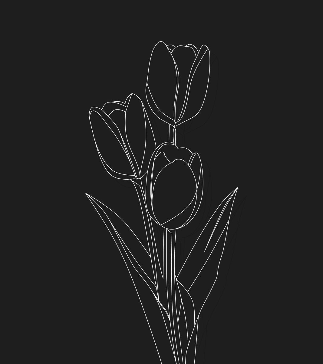 Frieda Odagboyi tweet media