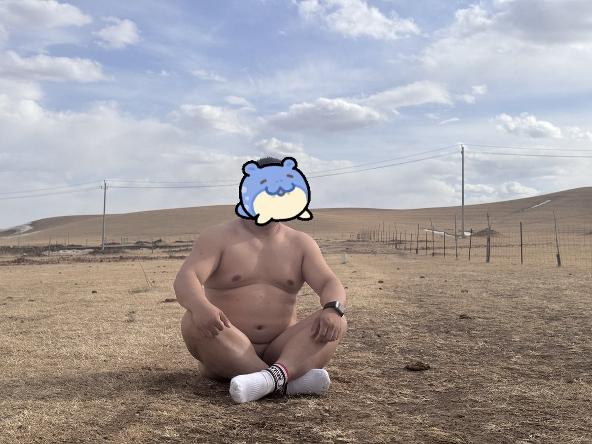 Lazybear tweet media