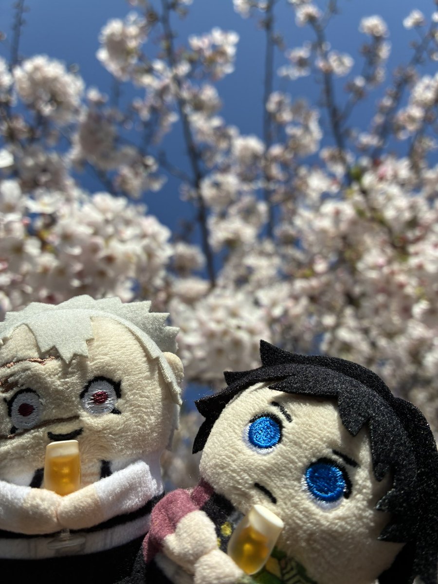 mani🍃🌊 tweet media