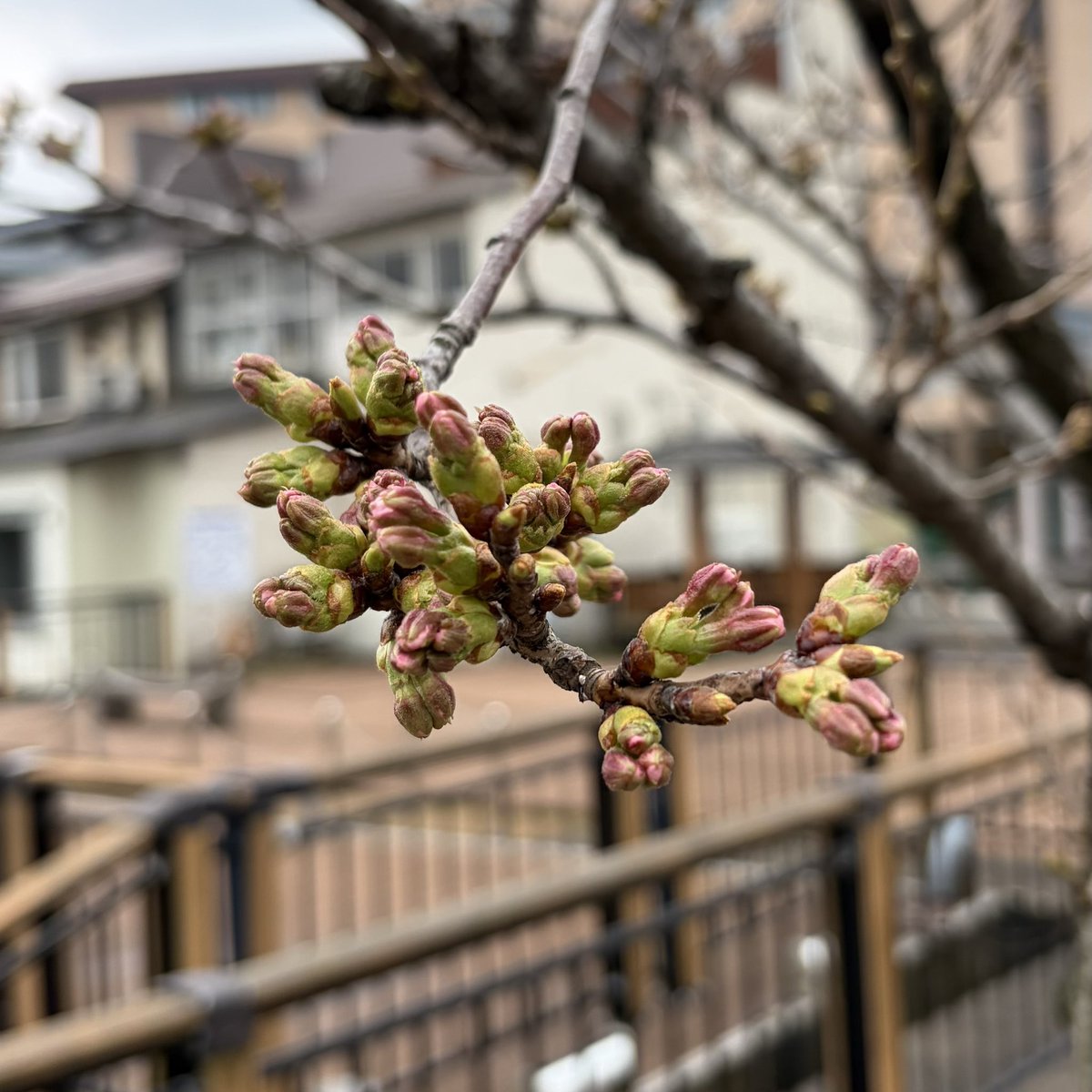 たろう。🩵 tweet media