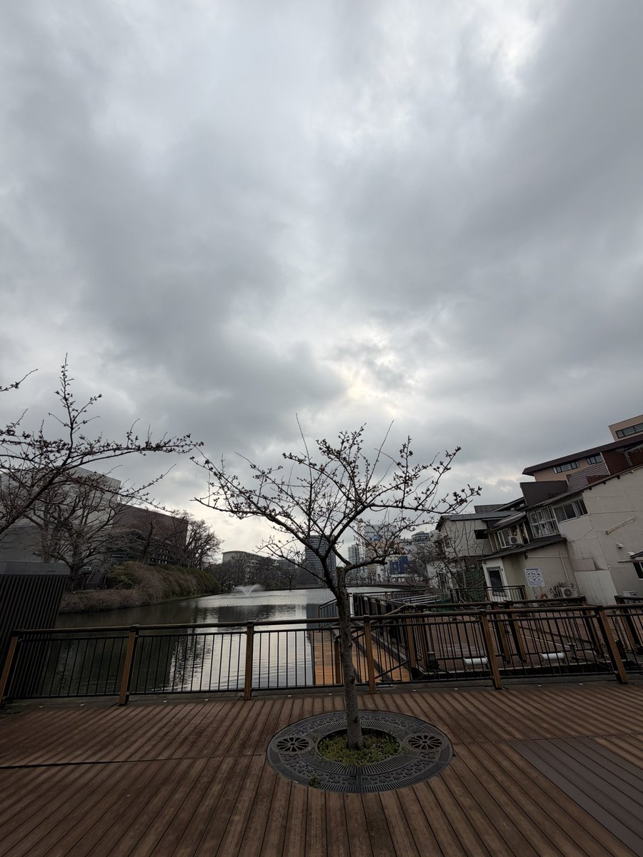 たろう。🩵 tweet media