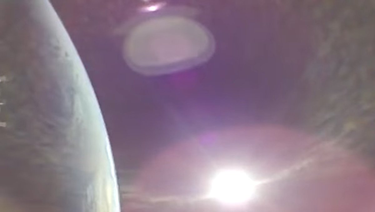 Arypie 🐄💫 | Extraterrestrial in human form!🛸 tweet media