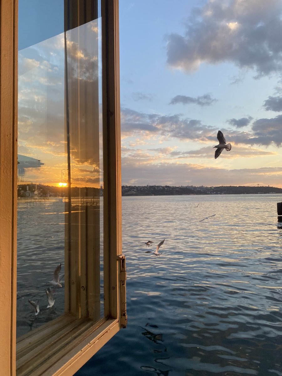 ‏᷂عُــلا،القــرني‏⚚ tweet media