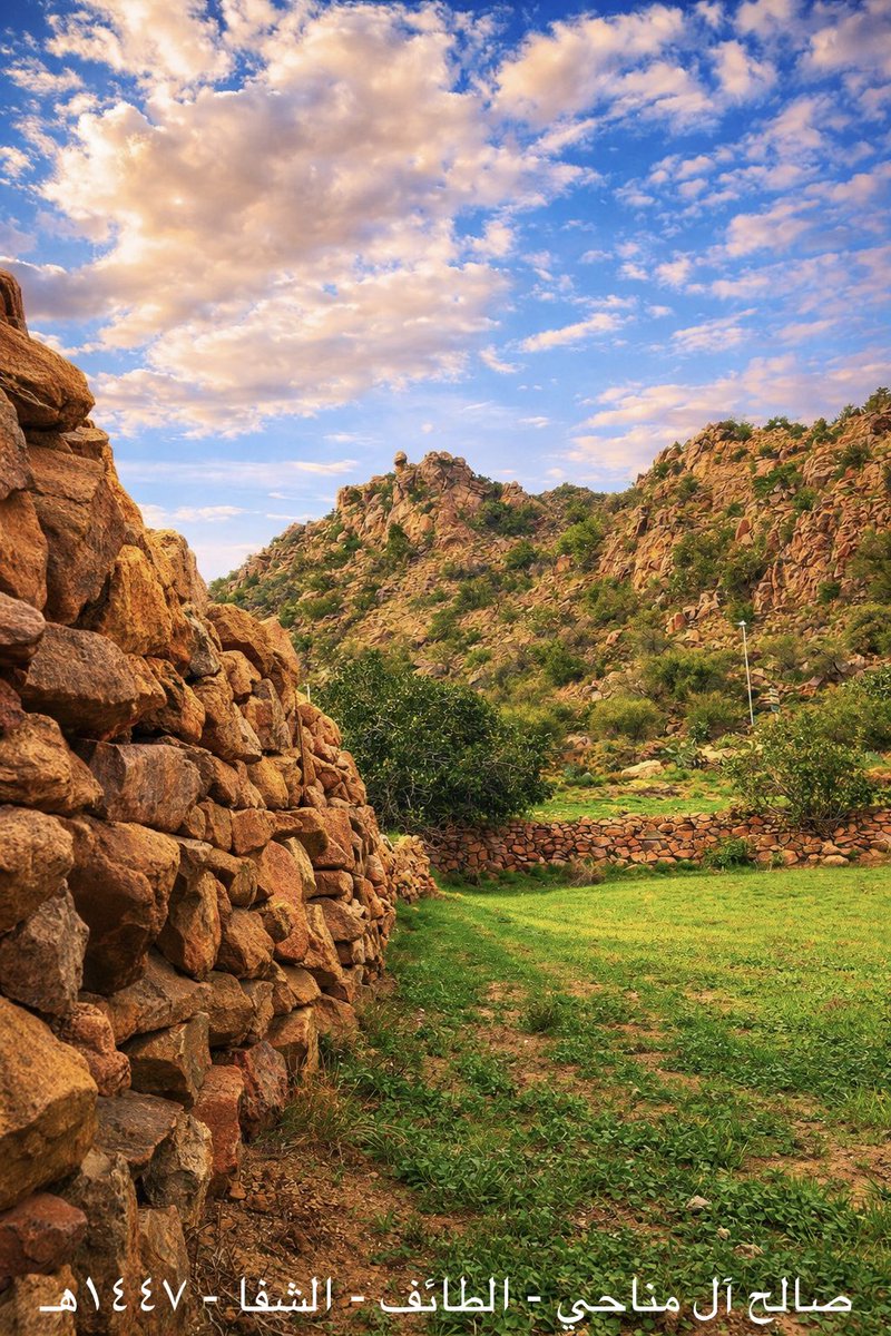 Saleh Al-Manahi tweet media