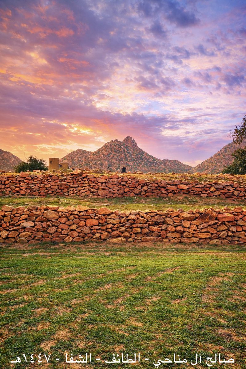 Saleh Al-Manahi tweet media