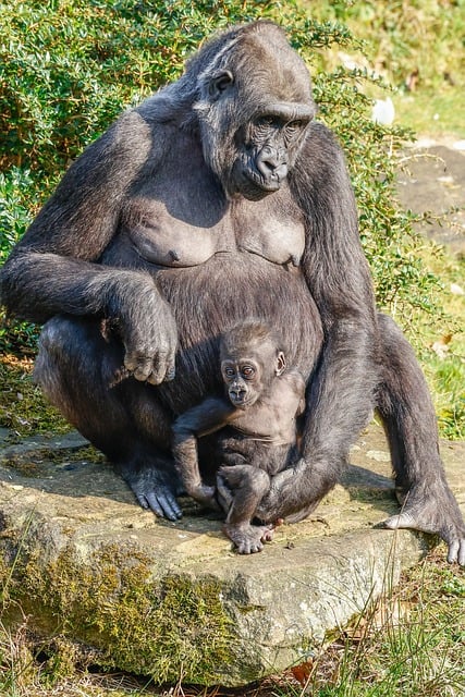 Karin Novotny tweet media