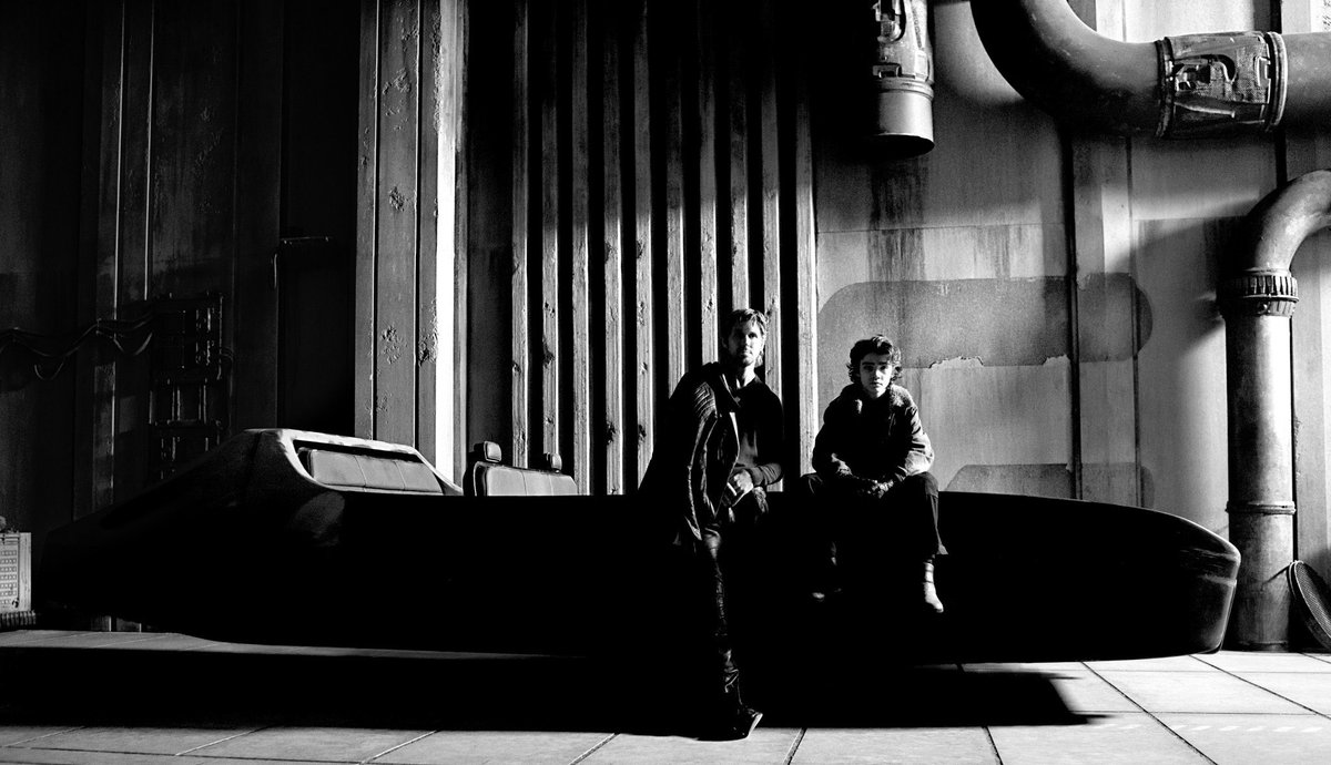 akiden 🪴 tweet media