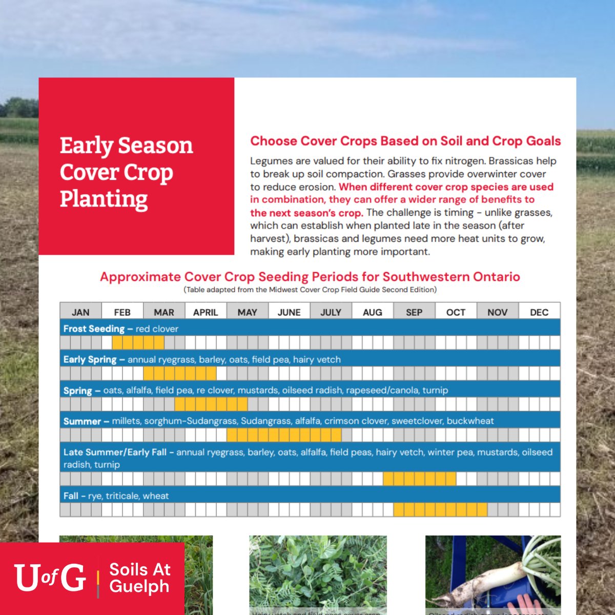 SOILS AT GUELPH tweet media