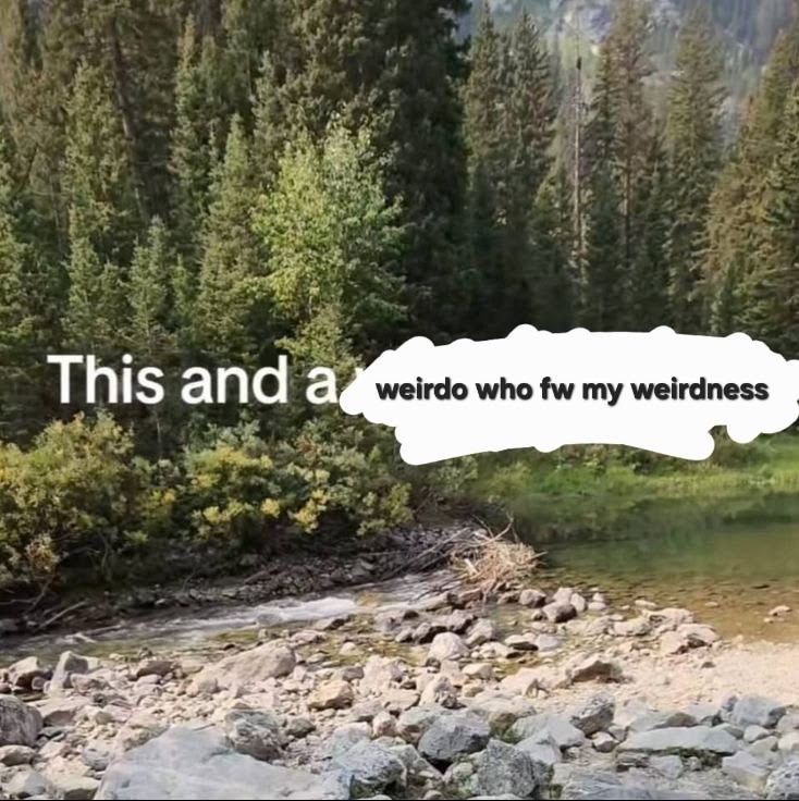 horse dentist tweet media