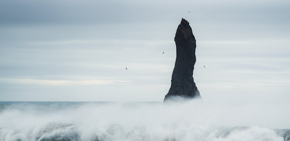 Jeff Mihaly tweet media