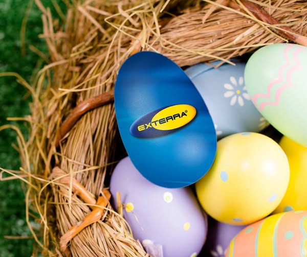ExterraTermite's tweet photo. We hope you have a safe and enjoyable Easter! https://t.co/aIGr3nJdpz