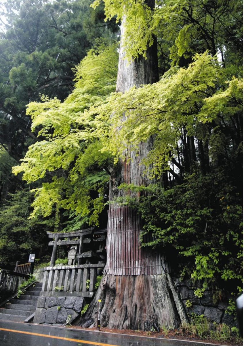 Боннын Т.Алтангэрэл tweet media