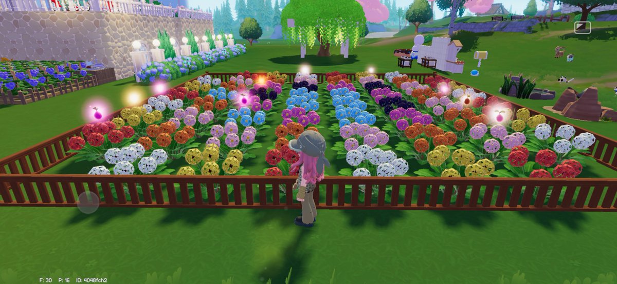 uiui_pigg's tweet photo. 1日目
2日目
3日目
紫なし
青大量
夜光少々 https://t.co/piplL5b2jH