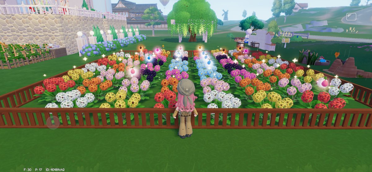 uiui_pigg's tweet photo. 1日目
2日目
3日目
紫なし
青大量
夜光少々 https://t.co/piplL5b2jH