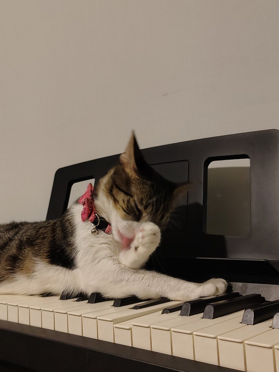 Marche 🫪 tweet media