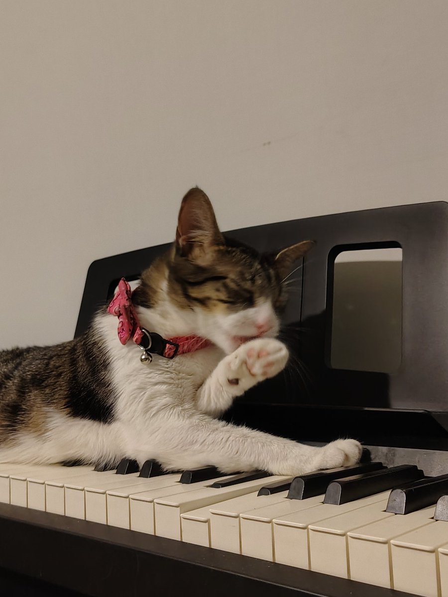 Marche 🫪 tweet media