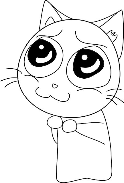 Bryan Carroll tweet media