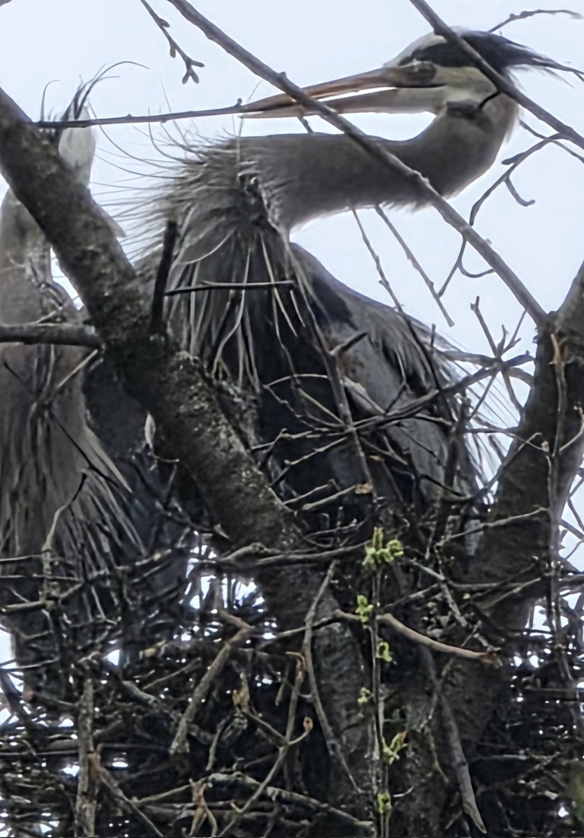 Lady Di 🇨🇦🇺🇦💙💛 tweet media