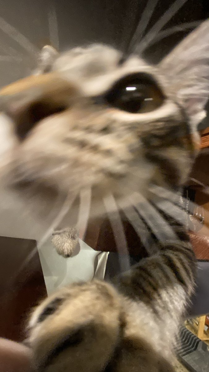 Chris Burger tweet media