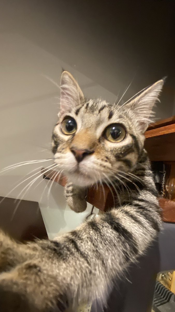 Chris Burger tweet media