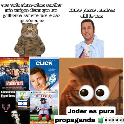 KARBIENKIP tweet media