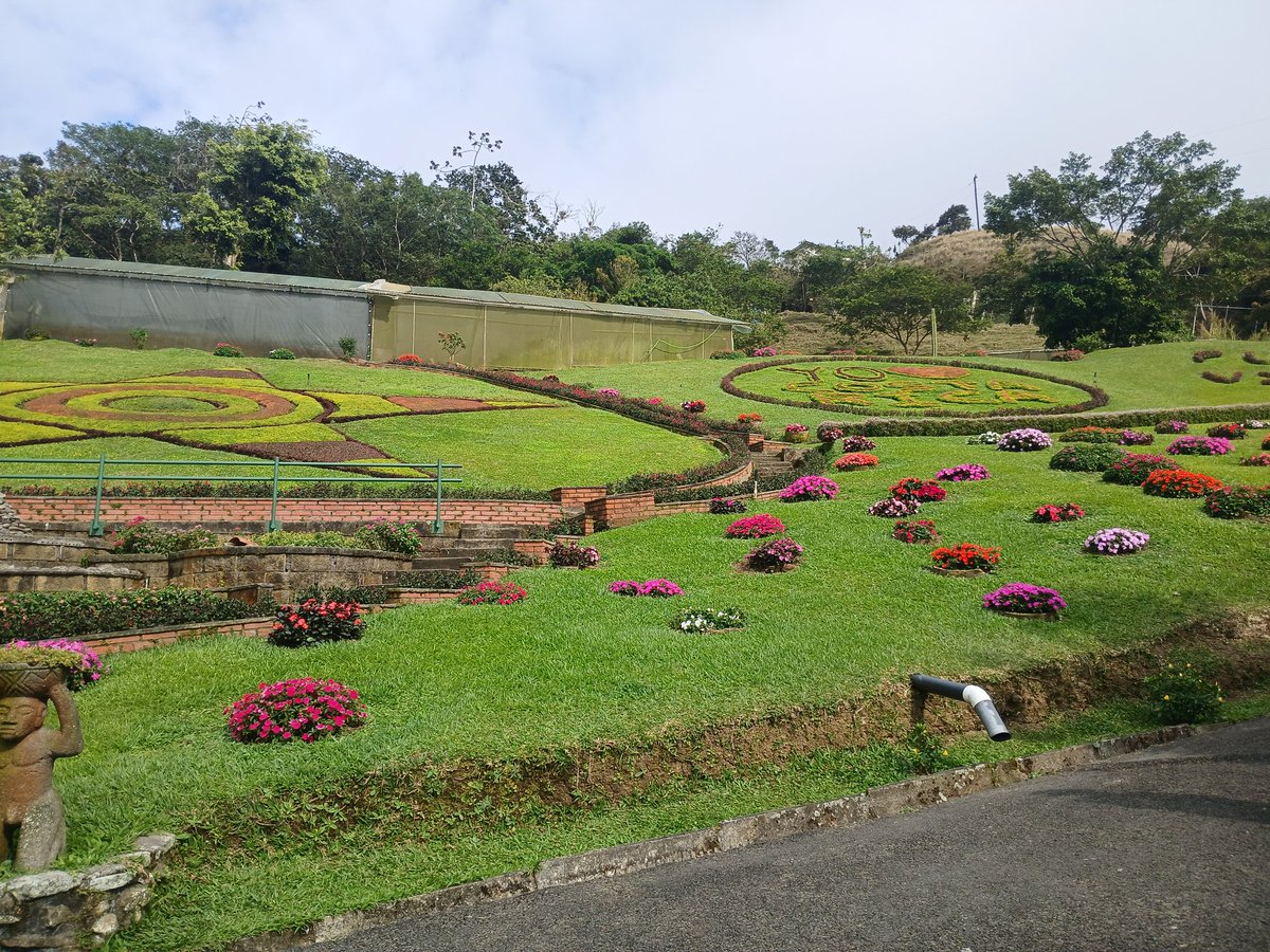 Amia ✧⁠*⁠。 tweet media