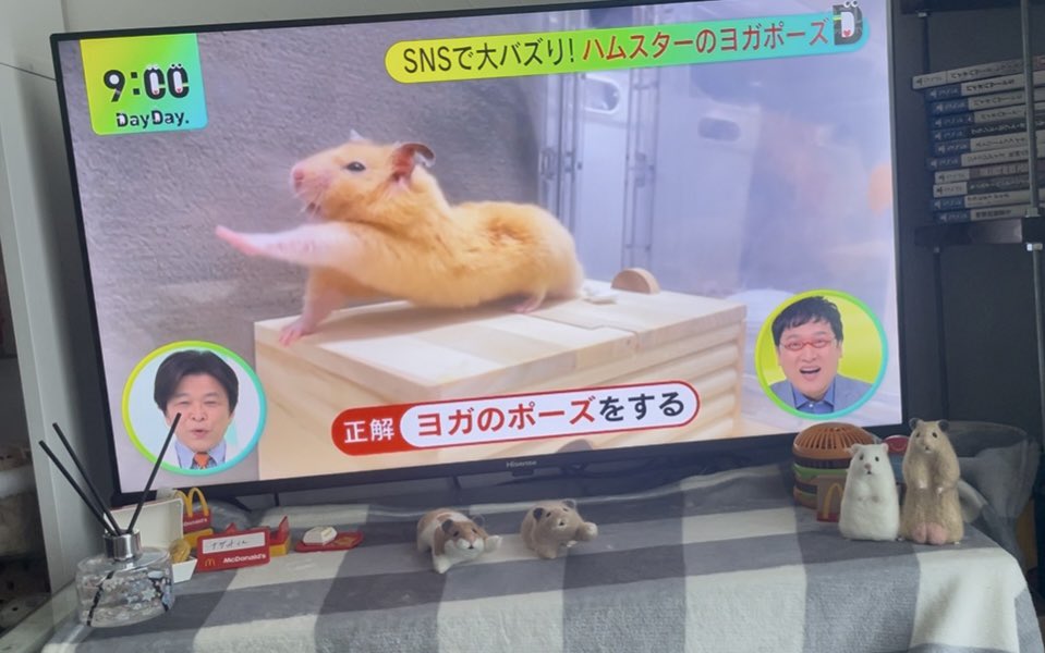 Chira/Taki (ちらたき) tweet media