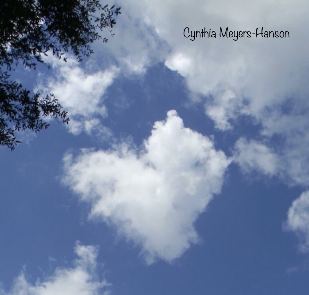 Sky-Princess-Cindy tweet media