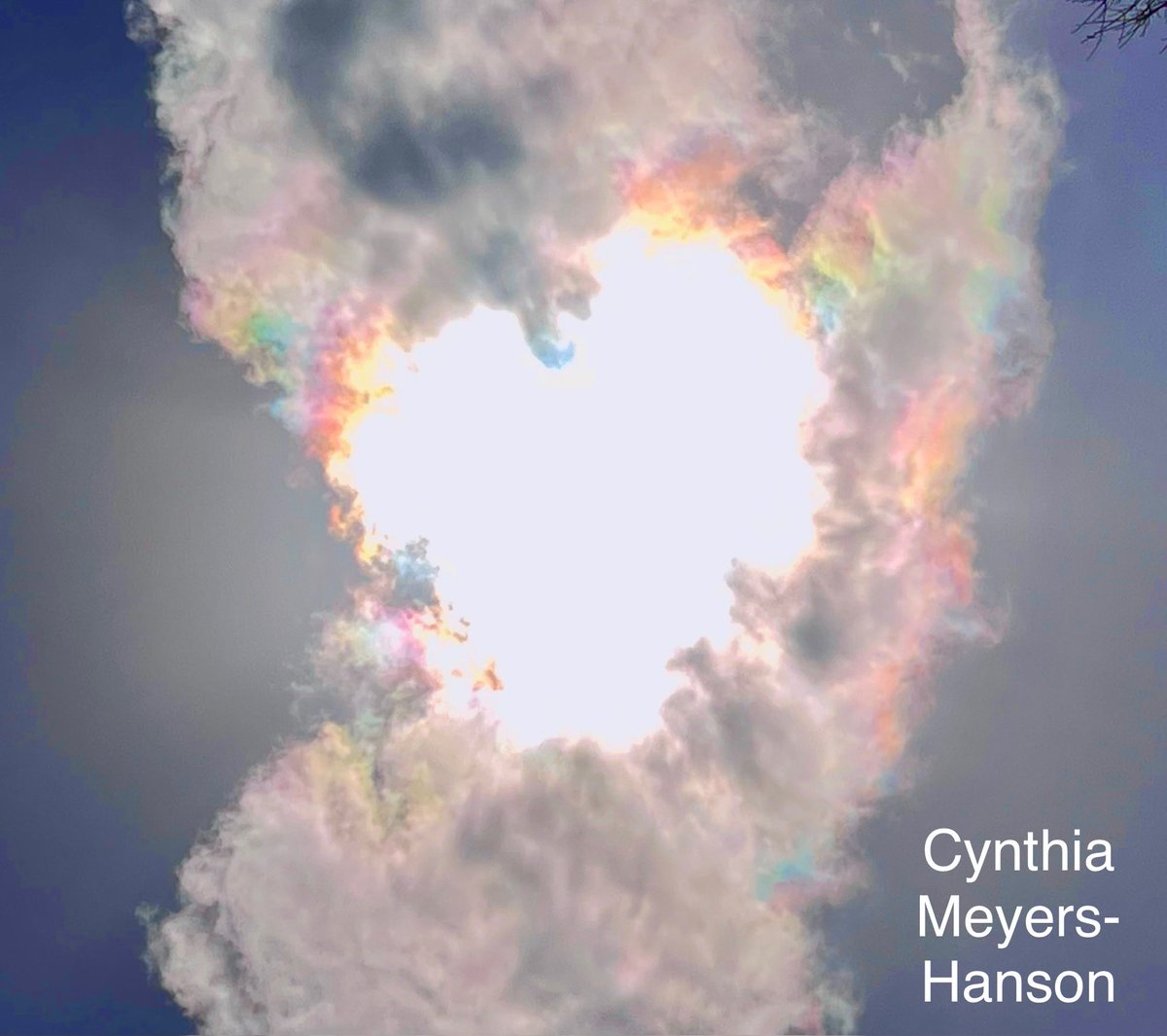 Sky-Princess-Cindy tweet media