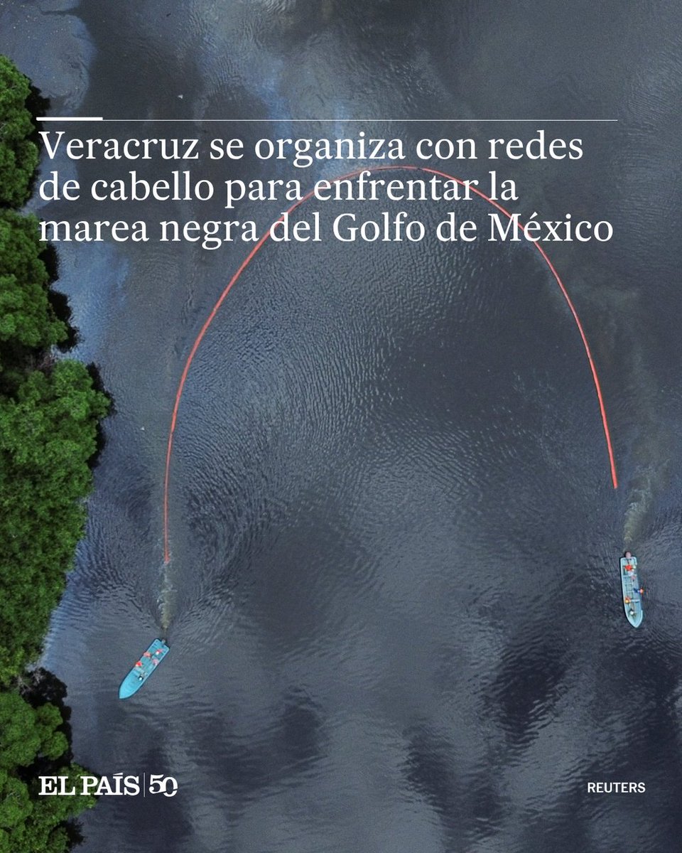 Algunos establecimientos en Veracruz han pedido donaciones de cabello -limpio y seco- para quitar los rastros de crudo del océano. De acuerdo con la organización civil Ayudando Patitas, un kilo de pelo puede limpiar hasta ocho litros de hidrocarburo dozz.es/4j2zox