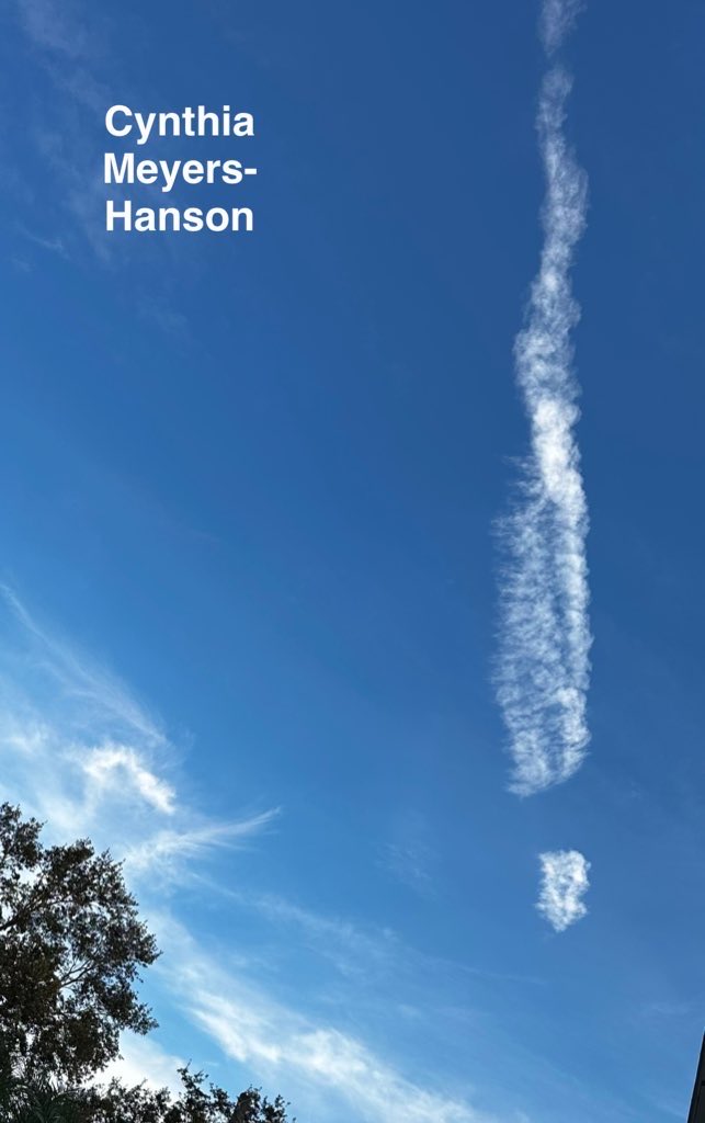 Sky-Princess-Cindy tweet media