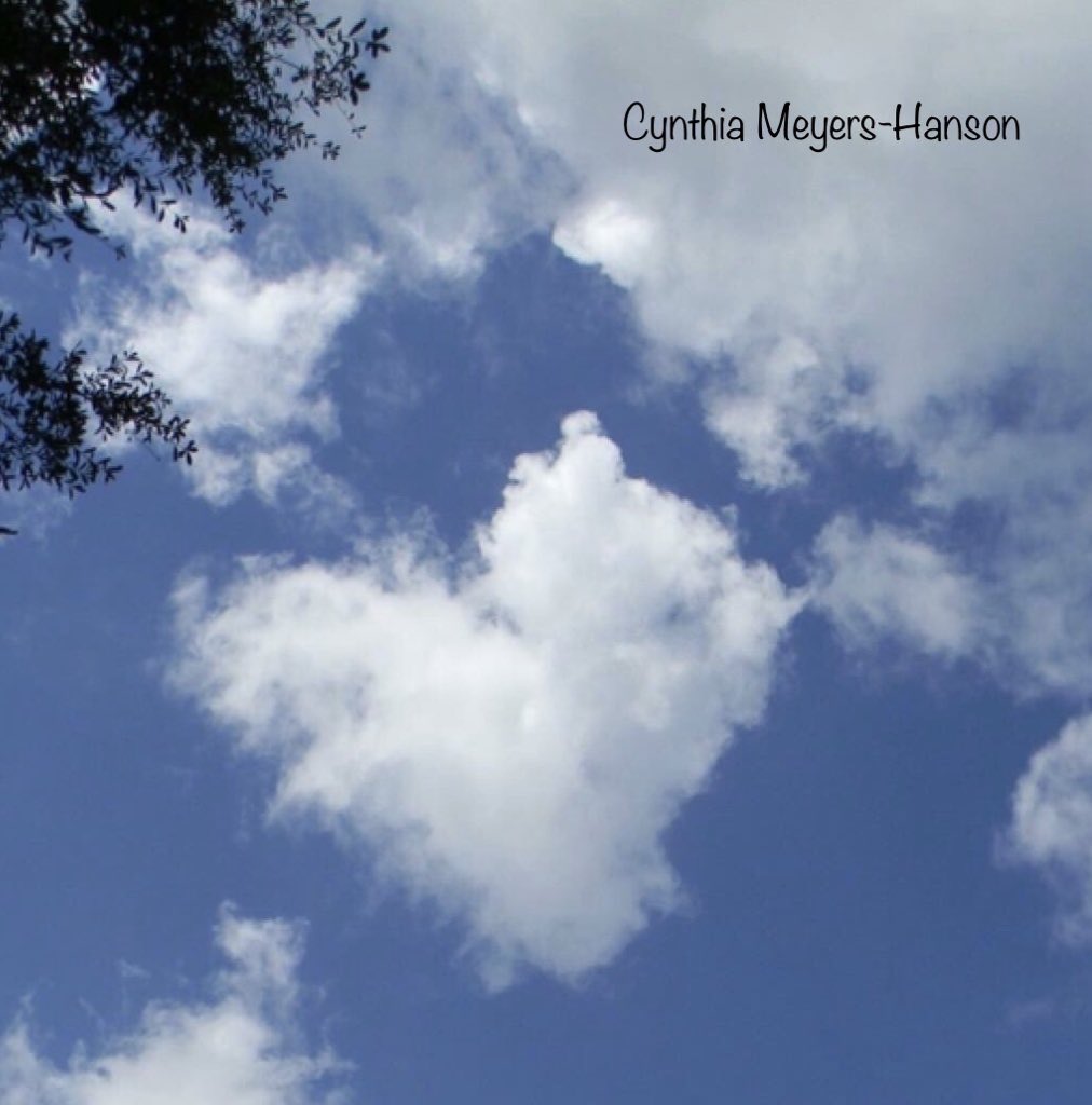 Sky-Princess-Cindy tweet media