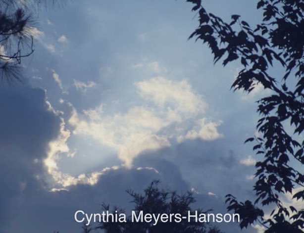 Sky-Princess-Cindy tweet media