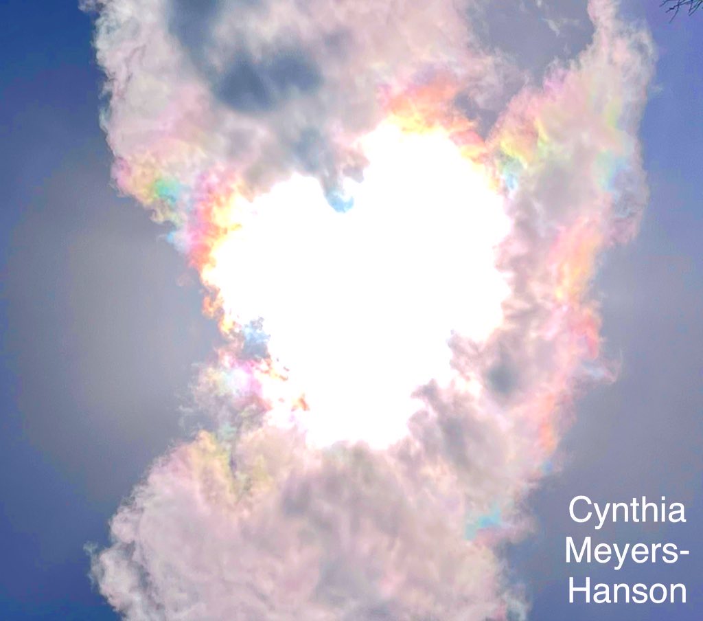 Sky-Princess-Cindy tweet media