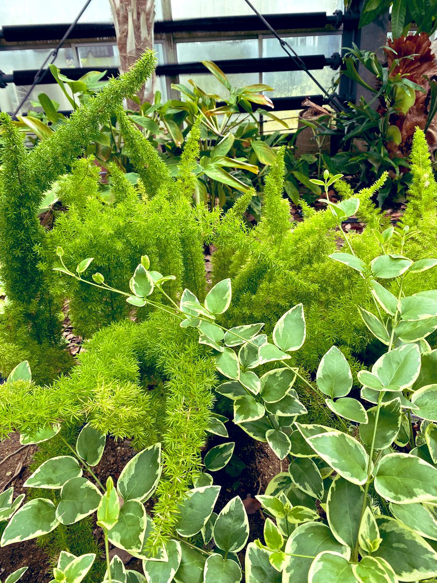 hinakana tweet media