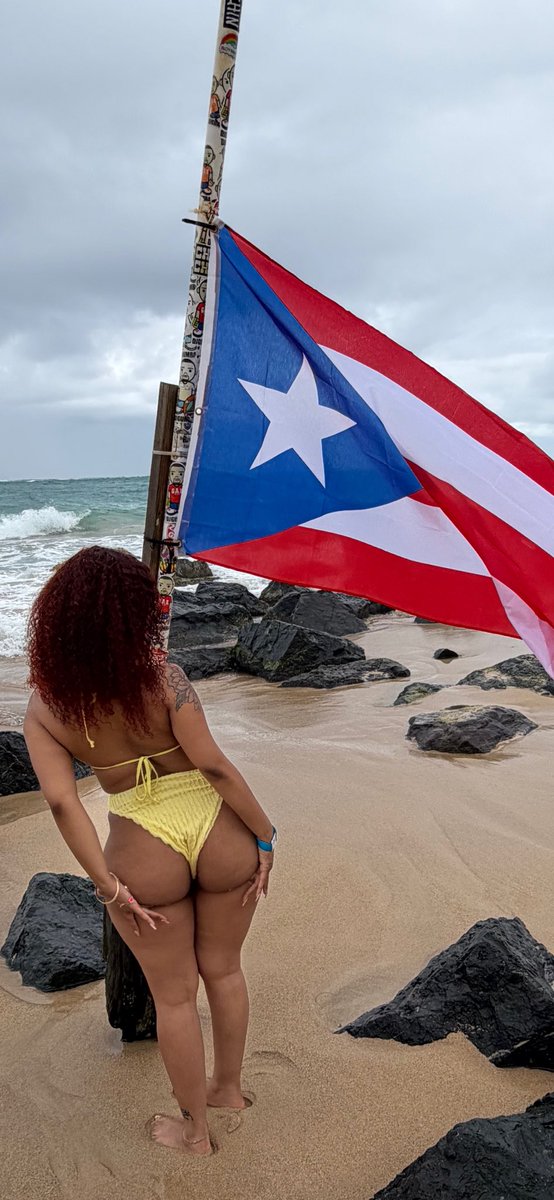 luffy’s gf tweet media