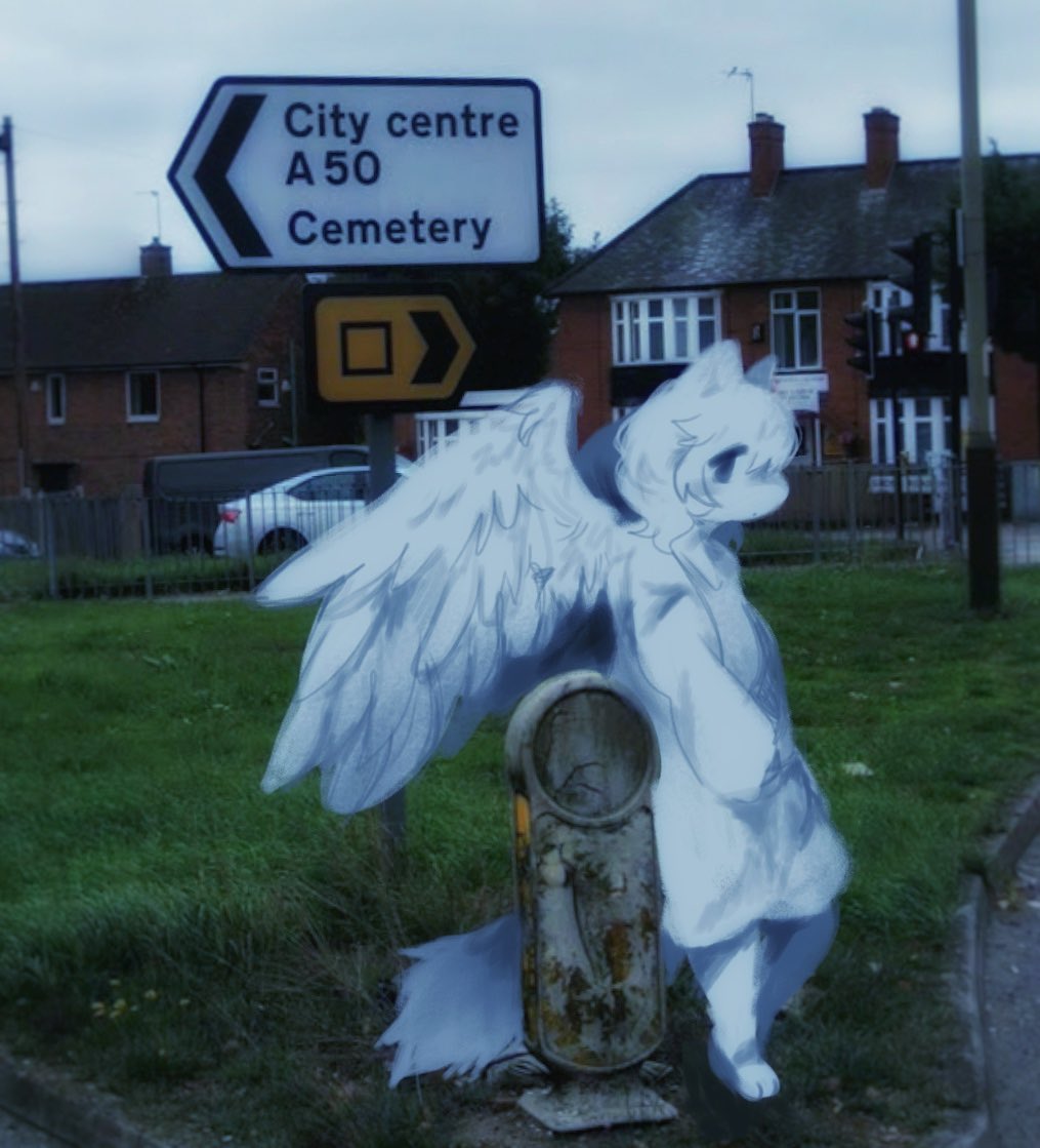 nessie🐮 tweet media