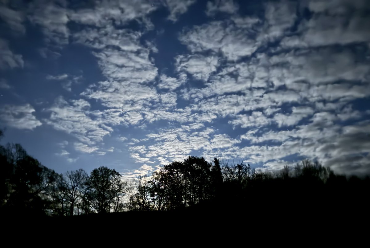 𝒯𝓇𝓊𝒹𝓎 tweet media