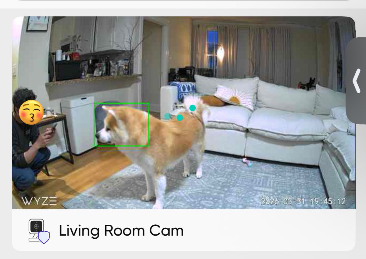 ﾉﾘｰｰｰﾝ tweet media