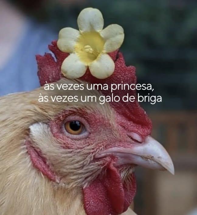 A Karsu todinha 
#CoraçãoDeMãe