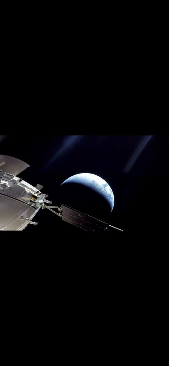 BaileyVShector🐍🐍🐍🐍🐍 tweet media