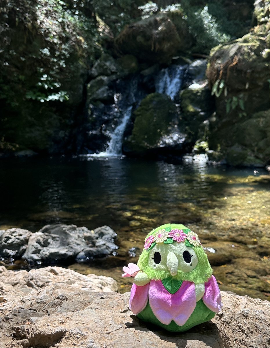 Ricky 🫑🍵 nahara day!! tweet media