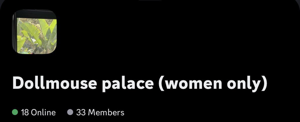 Goddess Willow 🇦🇺🐭🪤 ΘΔ Comms 1/3 Available tweet media