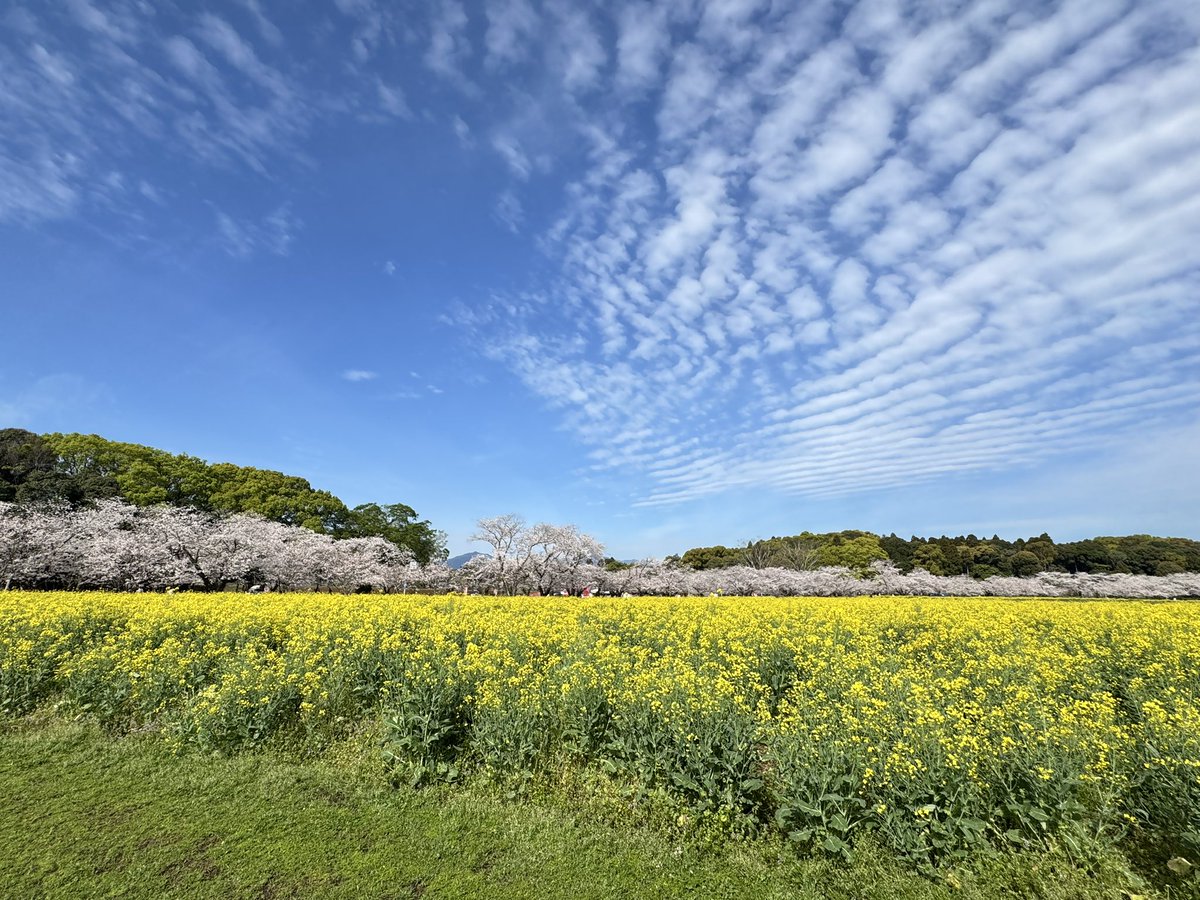 無色なオジは色を求めて朝活