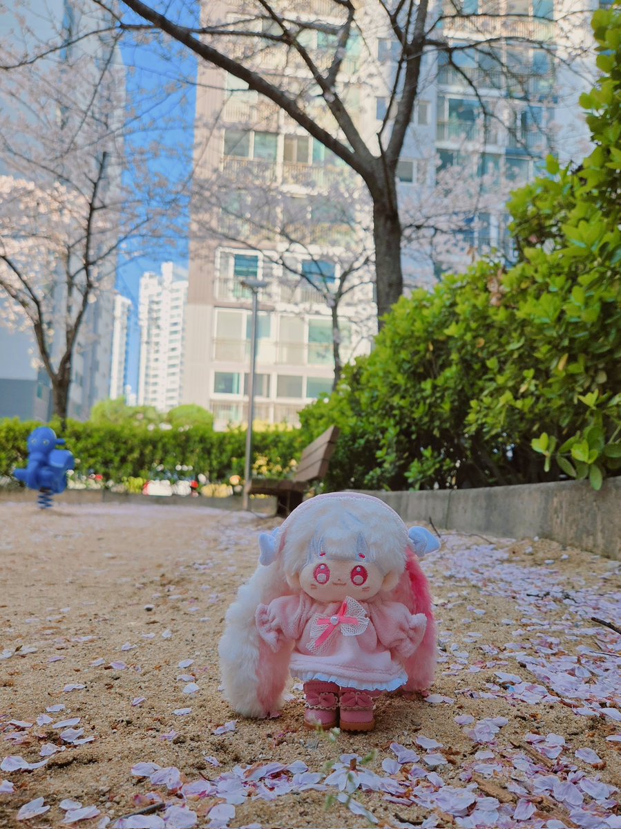 리둘💙 tweet media