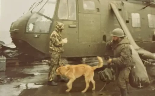 El Comodorense tweet media