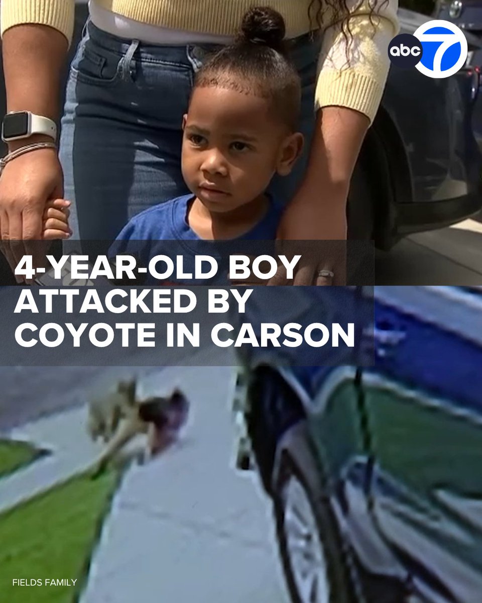 ABC7 Eyewitness News tweet media