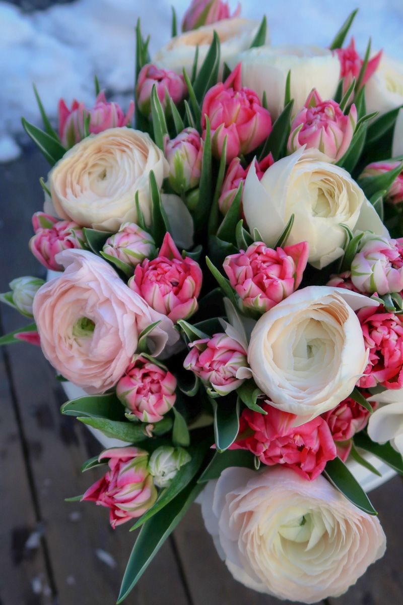 ‏᷂عُــلا،القــرني‏⚚ tweet media